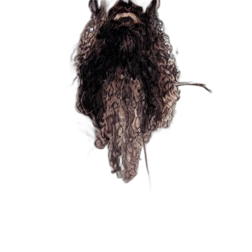 hair, mask, animal, creature transparent PNG cut-out