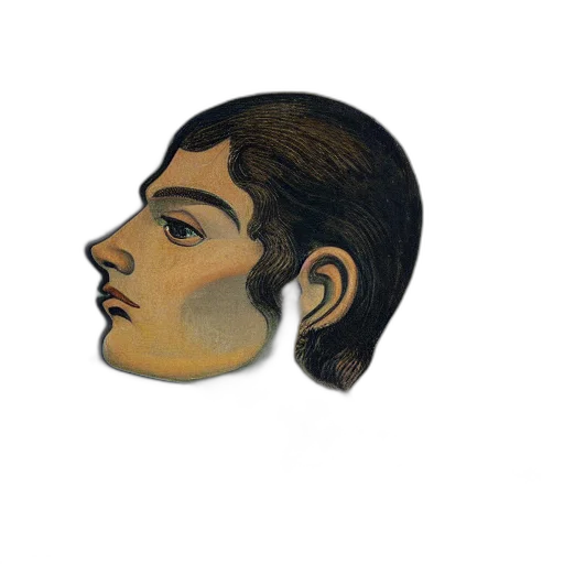face, mask, hair, crown transparent PNG cut-out