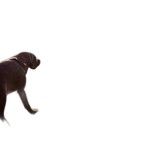 animal, creature, staff, dragon transparent PNG cut-out