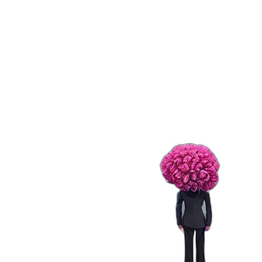staff, umbrella, flower, hat transparent PNG cut-out