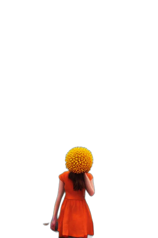 hat, dress, umbrella, hair transparent PNG cut-out