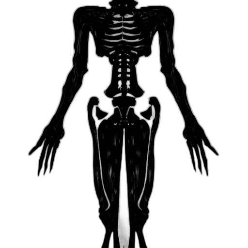 robot, creature, jewelry, animal transparent PNG cut-out