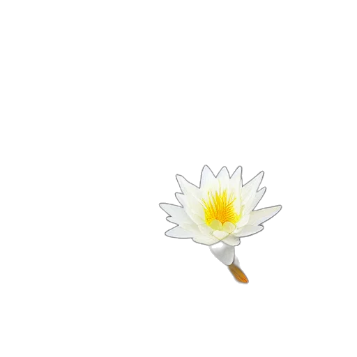 flower, staff, weapon, crown transparent PNG cut-out