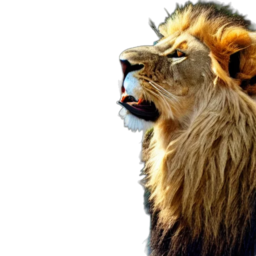 animal, crown, creature, photorealistic transparent PNG cut-out