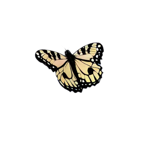 animal, creature, crown, flower transparent PNG cut-out