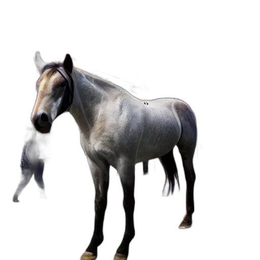 animal, creature, dragon, staff transparent PNG cut-out