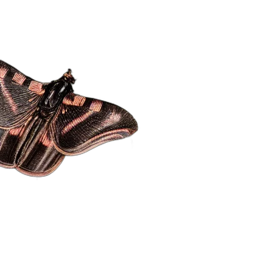 shoes, dragon, jewelry, mask transparent PNG cut-out