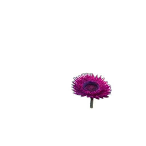 flower, umbrella, weapon, staff transparent PNG cut-out
