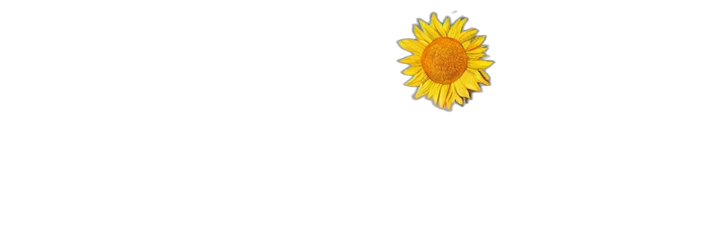 flower, umbrella, crown, jewelry transparent PNG cut-out