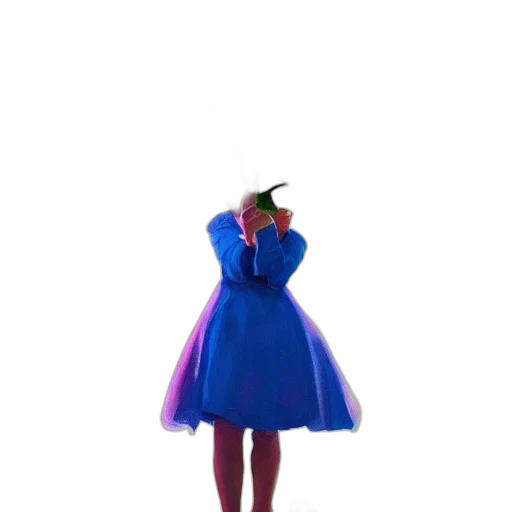 dress, umbrella, hat, jacket transparent PNG cut-out