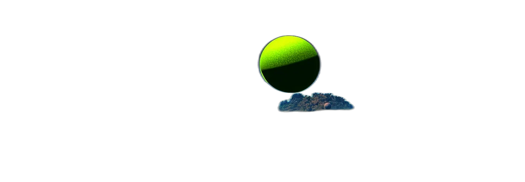 weapon, umbrella, tree, staff transparent PNG cut-out