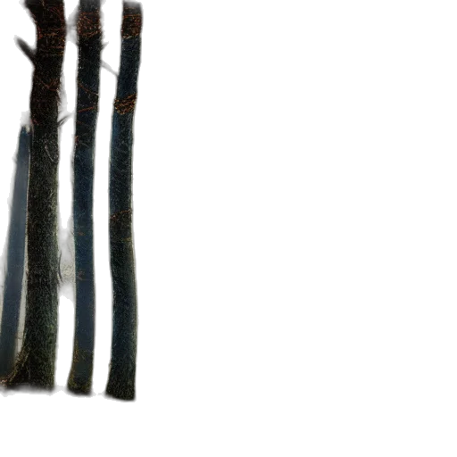hair, tree, sword, staff transparent PNG cut-out