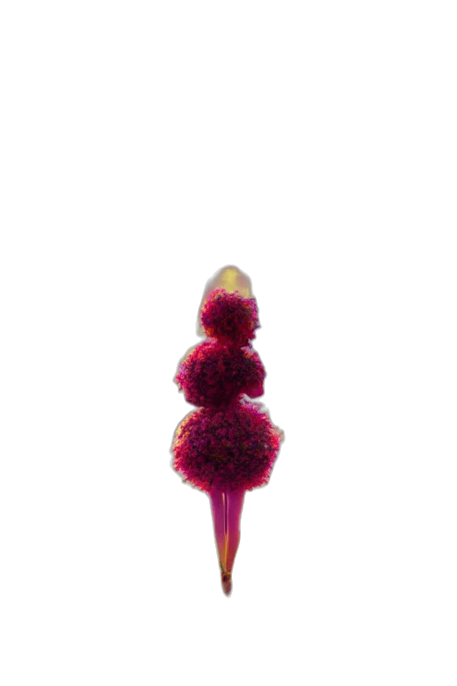 flower, staff, jewelry, crown transparent PNG cut-out