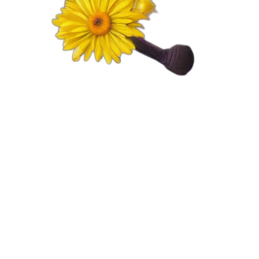 staff, flower, weapon, umbrella transparent PNG cut-out