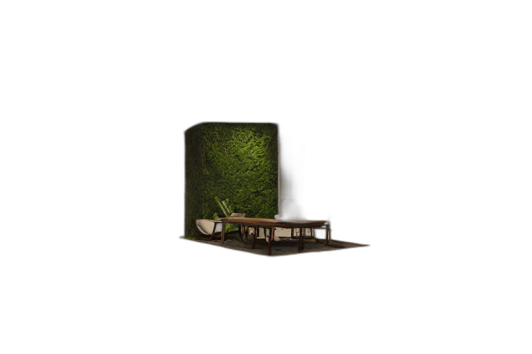 furniture, hat, crown, tree transparent PNG cut-out