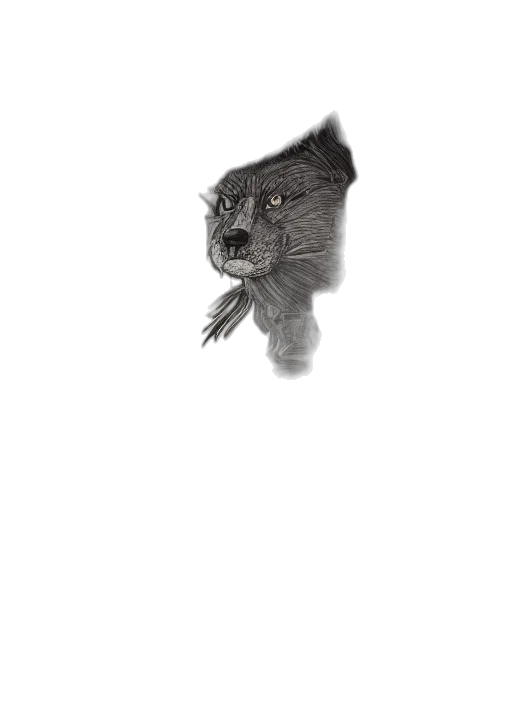 animal, creature, dragon, hair transparent PNG cut-out