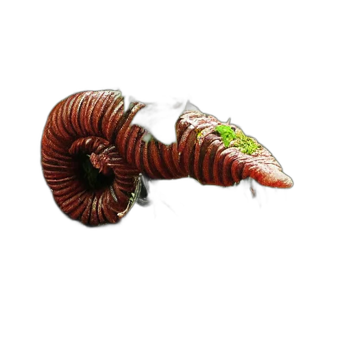 creature, animal, dragon, staff transparent PNG cut-out