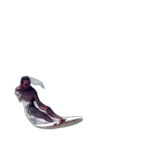 shoes, animal, jewelry, dragon transparent PNG cut-out