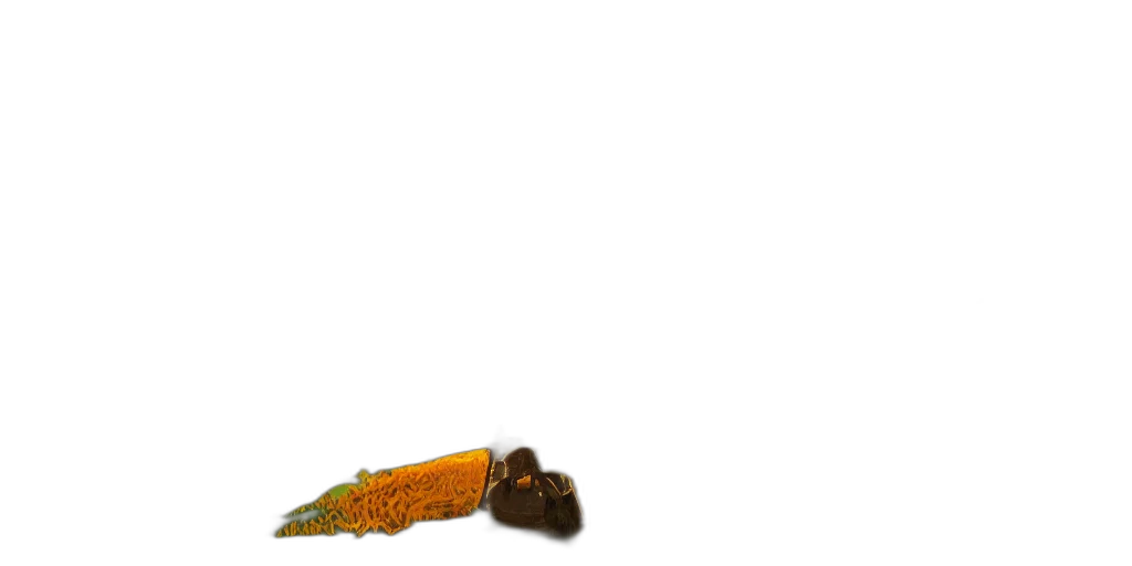 staff, food, shoes, weapon transparent PNG cut-out