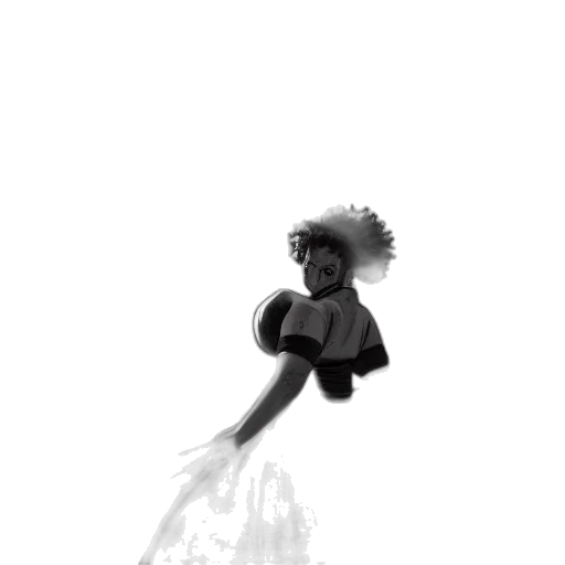 dress, crown, flower, hair transparent PNG cut-out