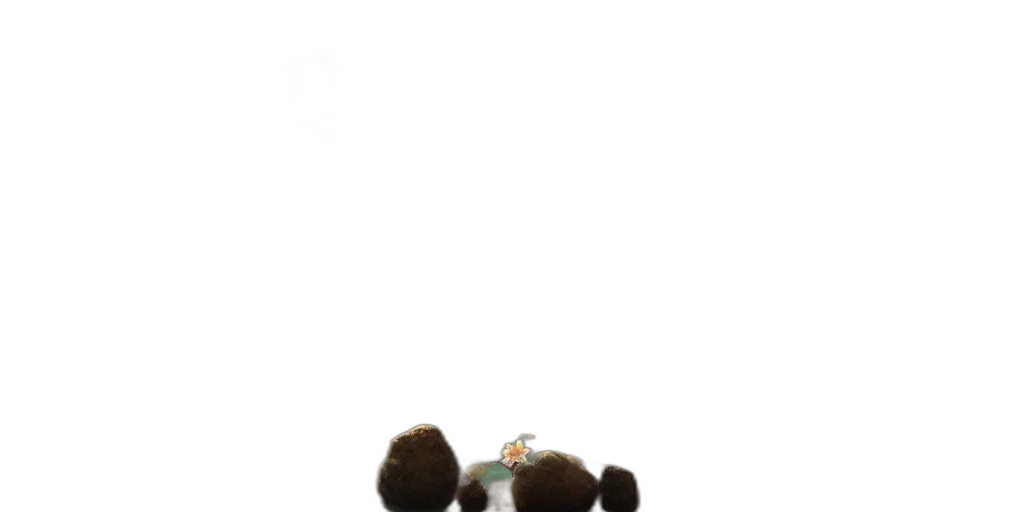 hair, crown, hat, staff transparent PNG cut-out