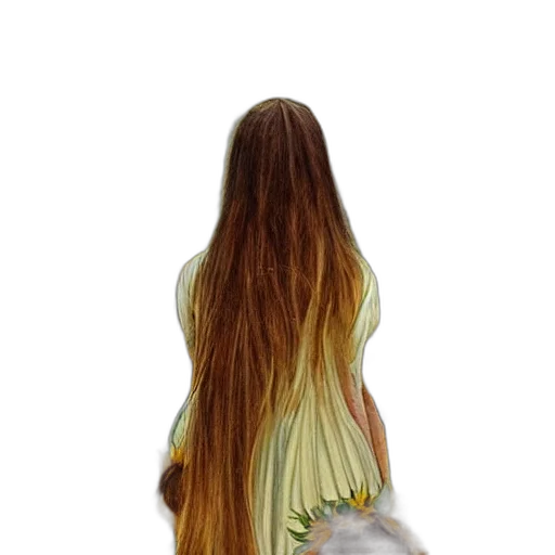 hair, dress, staff, jacket transparent PNG cut-out
