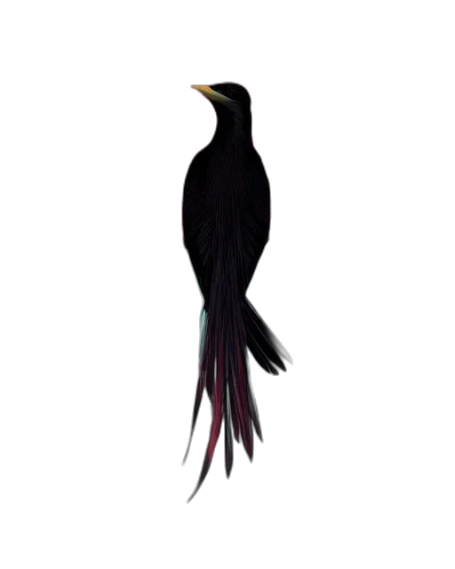animal, staff, creature, hair transparent PNG cut-out