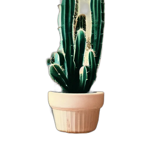 creature, staff, flower, hat transparent PNG cut-out