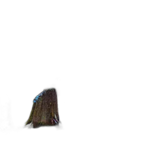 hair, hat, creature, crown transparent PNG cut-out