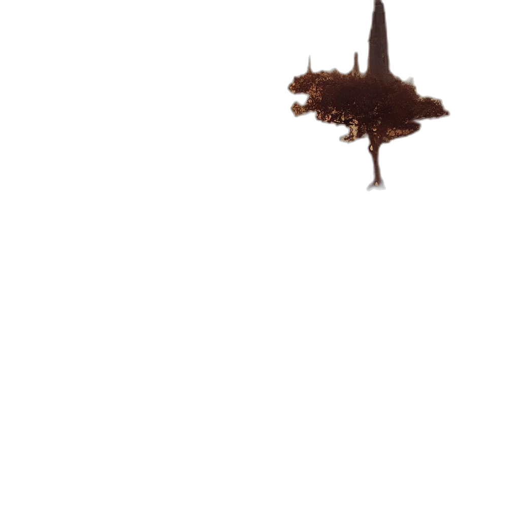 umbrella, creature, dragon, weapon transparent PNG cut-out