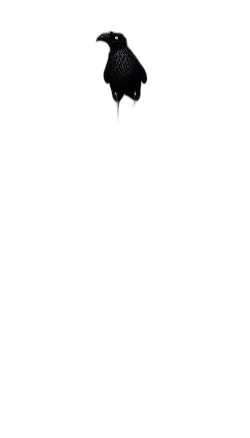staff, hat, mask, face transparent PNG cut-out