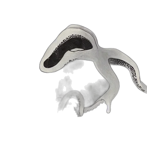 jewelry, mask, dragon, creature transparent PNG cut-out