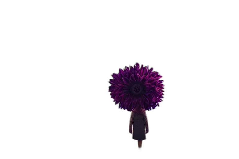 umbrella, flower, hair, staff transparent PNG cut-out