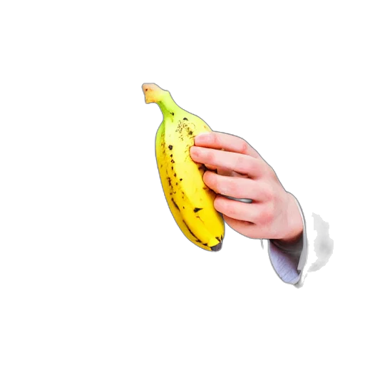 food, weapon, animal, staff transparent PNG cut-out