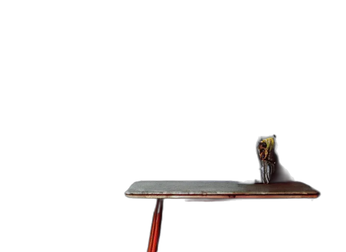furniture, staff, sword, hair transparent PNG cut-out