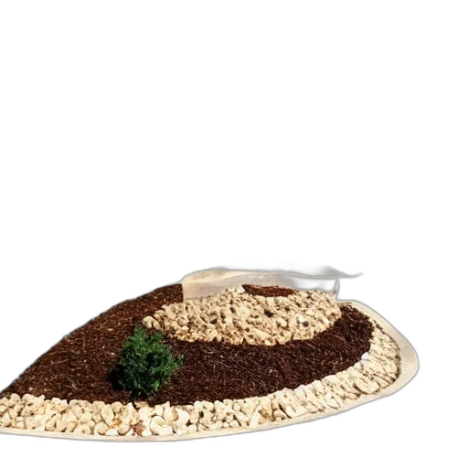 hat, crown, tree, food transparent PNG cut-out