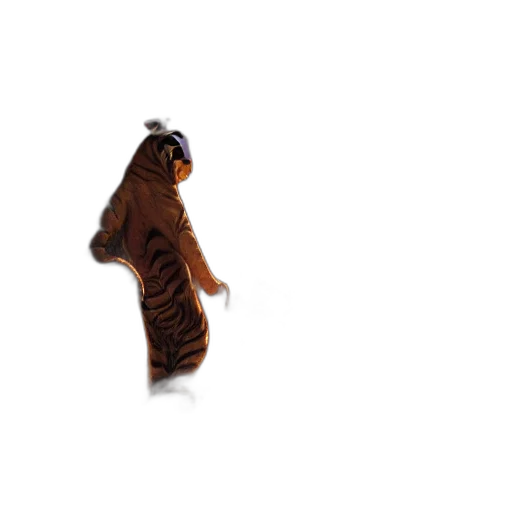 animal, creature, hair, staff transparent PNG cut-out
