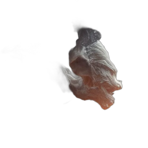 hair, mask, dragon, face transparent PNG cut-out