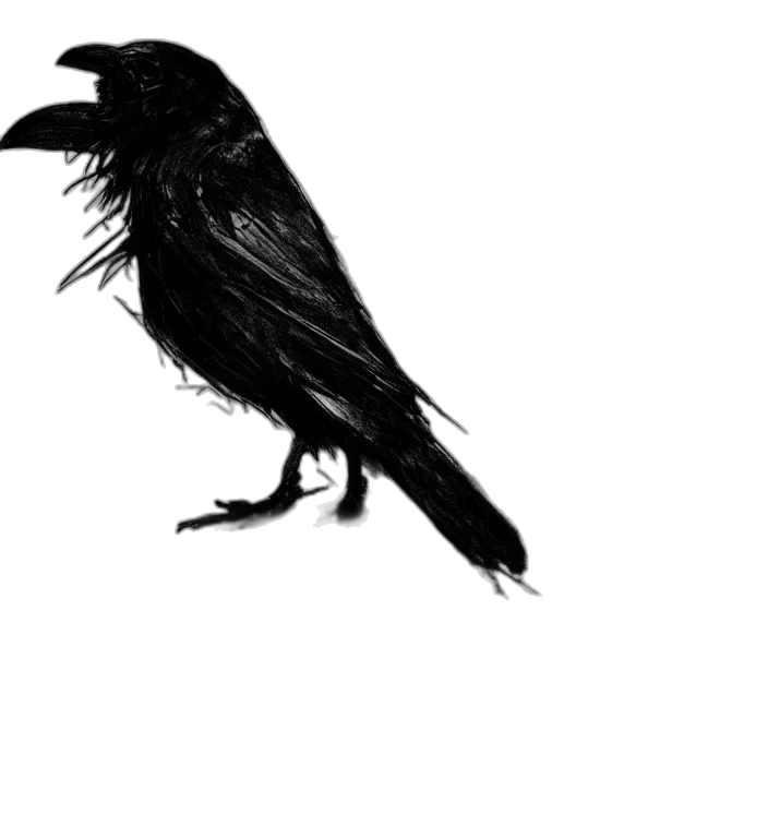 animal, creature, staff, dress transparent PNG cut-out