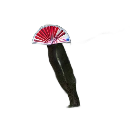 umbrella, hat, staff, weapon transparent PNG cut-out