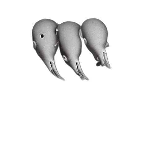 animal, creature, mask, hair transparent PNG cut-out