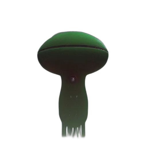 hat, crown, umbrella, hair transparent PNG cut-out