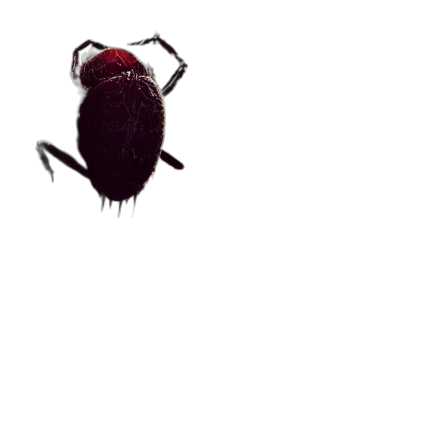 animal, creature, hair, robot transparent PNG cut-out