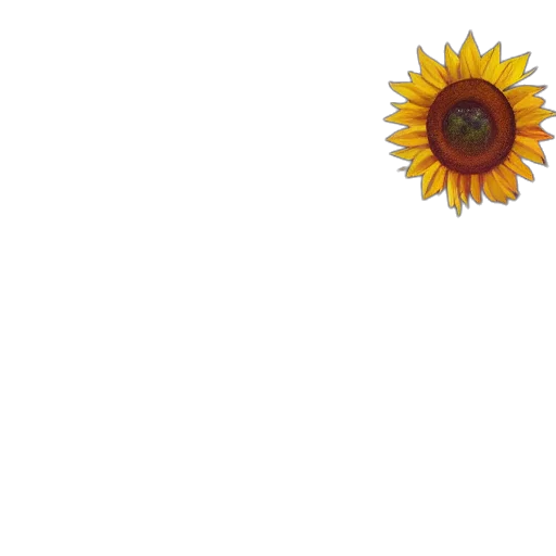 flower, crown, staff, umbrella transparent PNG cut-out