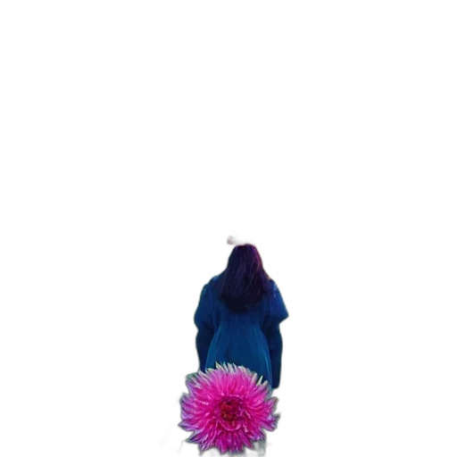 flower, animal, creature, dress transparent PNG cut-out