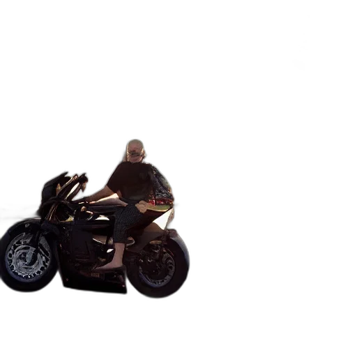 car, weapon, jacket, animal transparent PNG cut-out