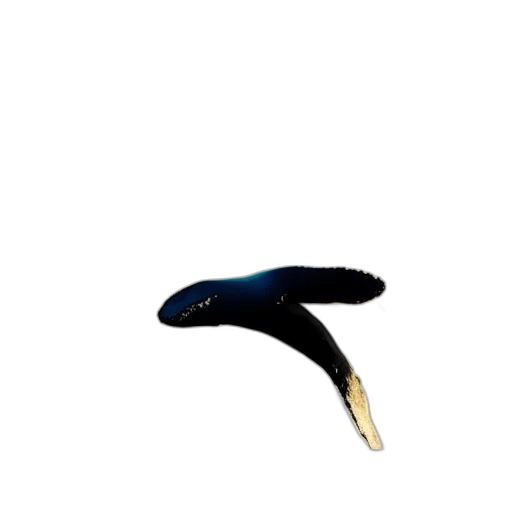 shoes, staff, hat, hair transparent PNG cut-out