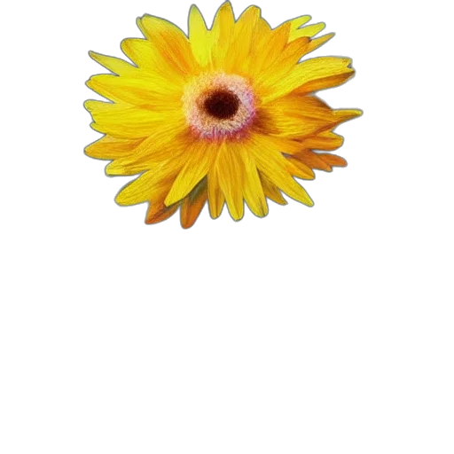 flower, crown, staff, jewelry transparent PNG cut-out