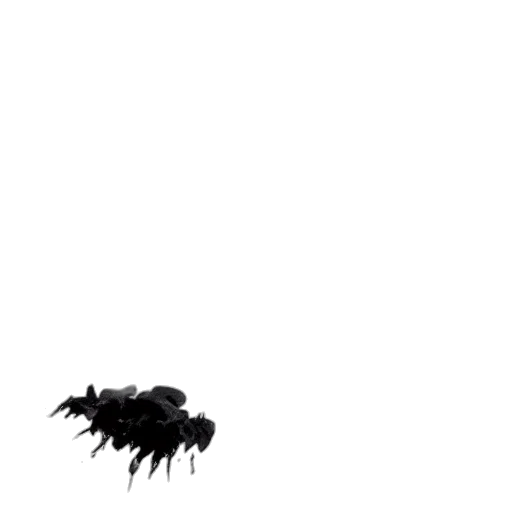 hair, creature, animal, mask transparent PNG cut-out