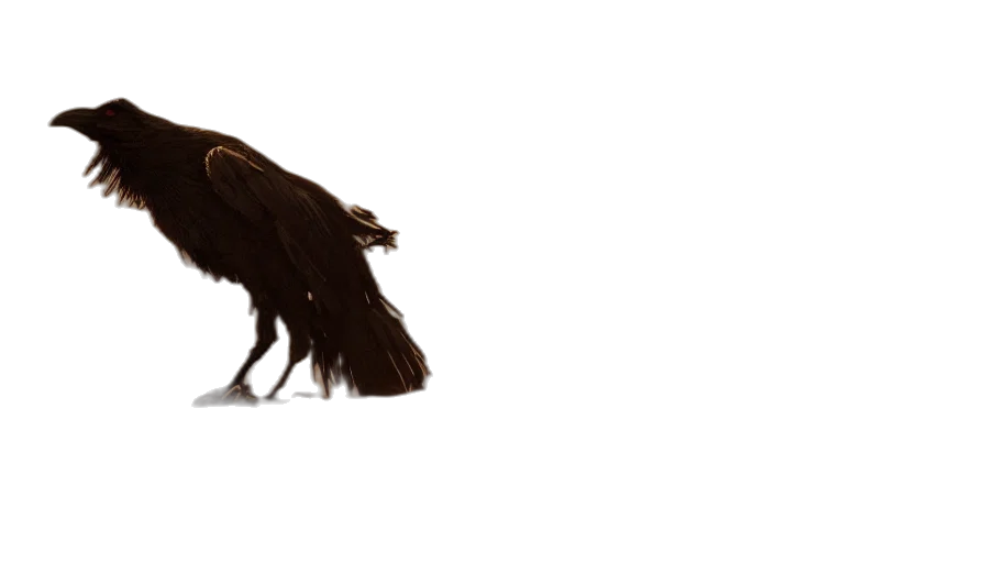 hair, animal, creature, staff transparent PNG cut-out